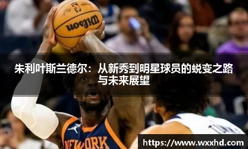 朱利叶斯兰德尔：从新秀到明星球员的蜕变之路与未来展望